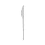 Dinner Knife